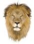 The Electric Lion